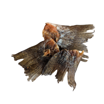 Queue de carpe - 100g