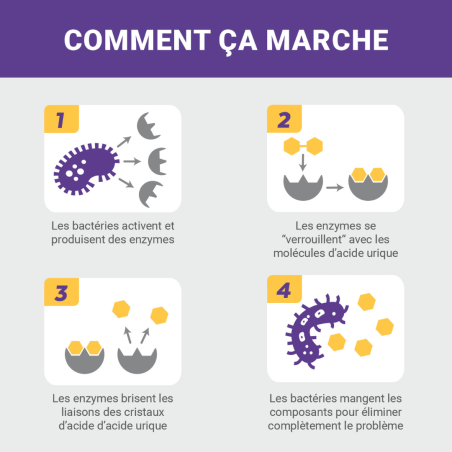 Destructeur d'urine pour chien et chiot 500ml - Urine off