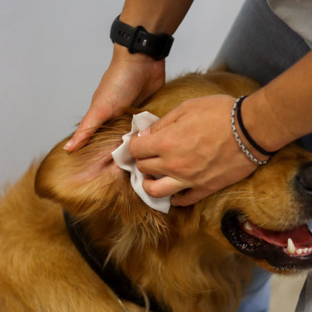 Soin des oreilles - 125ml