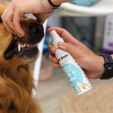 Dentifrice spray - 125ml