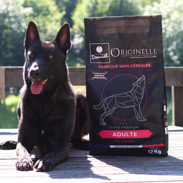 Croquettes Originelle adulte saumon sans céréales - 12 kg