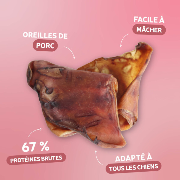 Oreille de porc