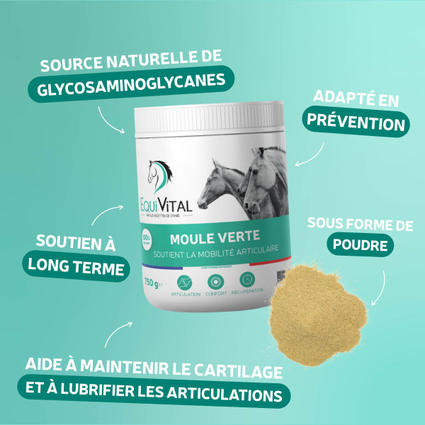 EquiVital Moule verte - 750 g