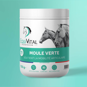 EquiVital Moule verte - 750 g