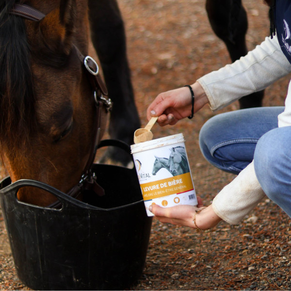 EquiVital Levure de bière - 750 g