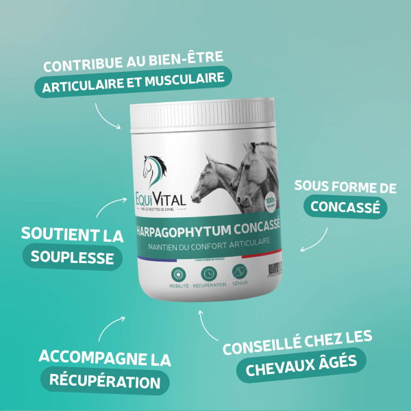 EquiVital harpagophytum granulé 3kg