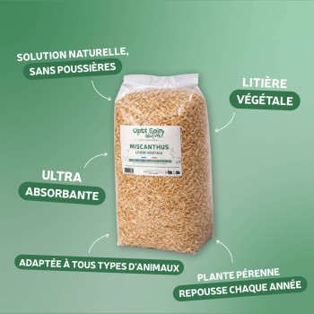 Litière de Miscanthus : propriétés