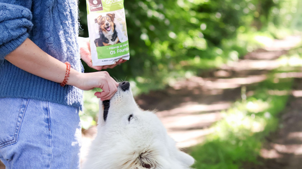 Pourquoi donner des friandises à son chien ?