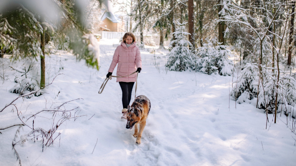 Comment éviter la dépression hivernale chez mon animal ?