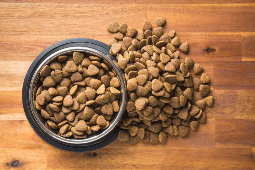 Savez-vous vraiment lire les étiquettes des paquets de croquettes ?