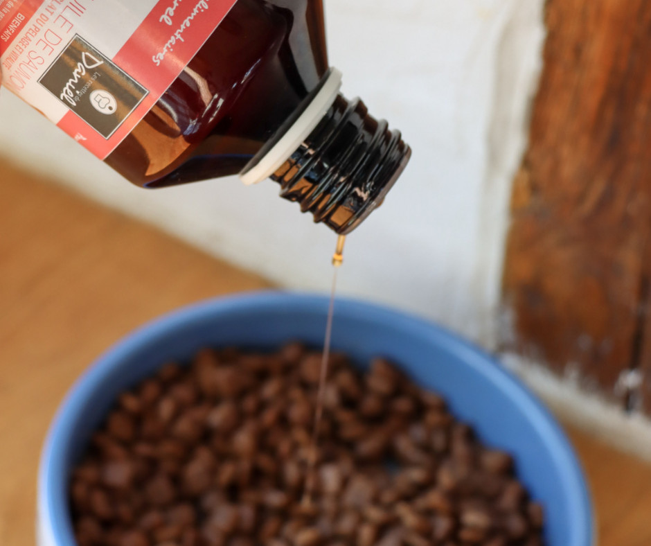 Les bienfaits de l’huile de saumon