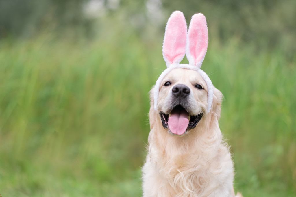 Comment faire plaisir à son compagnon pour Pâques ?