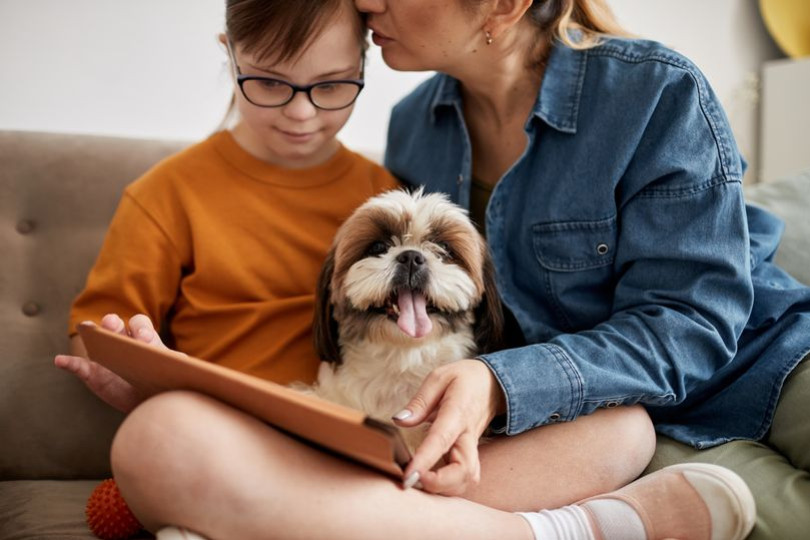 Nos 5 conseils pour avoir un chien heureux en appartement