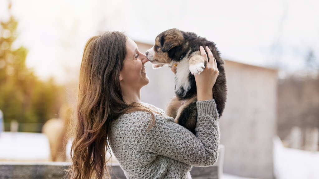 5 conseils pour accueillir un nouvel animal