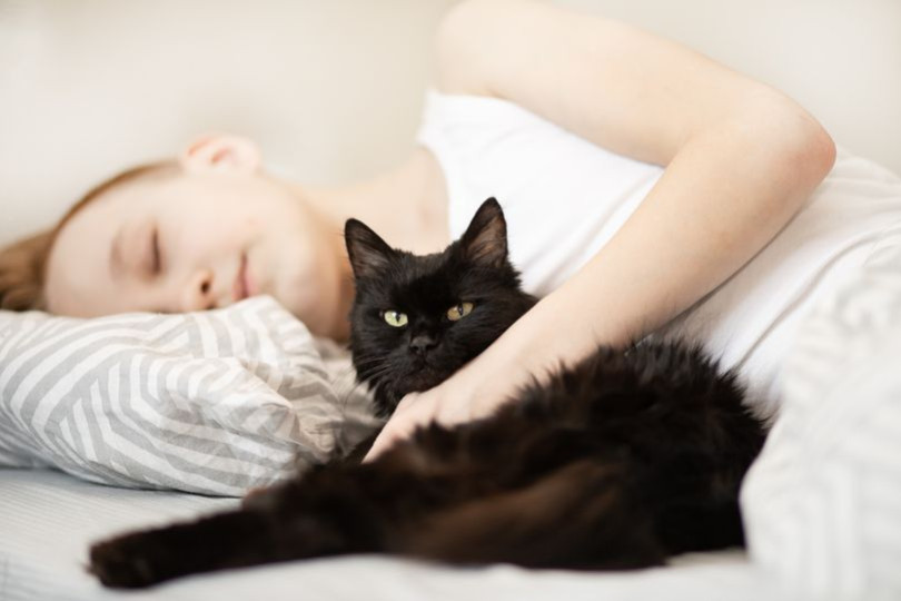 Mon chat m’empêche de dormir, que faire ?
