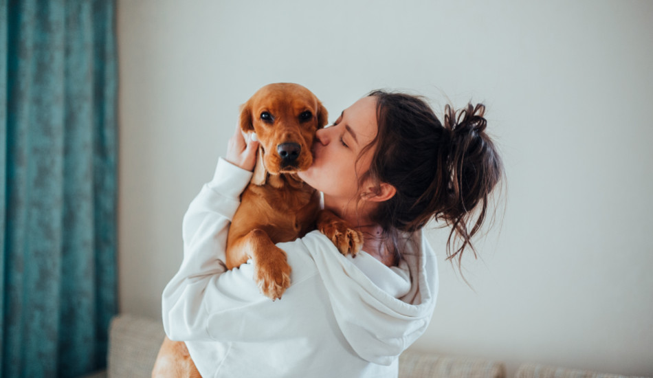 Les bienfaits des chiens sur le stress et l'anxiété