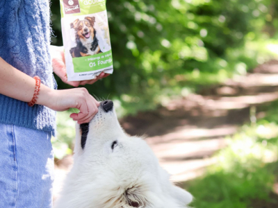 Pourquoi donner des friandises à son chien ?