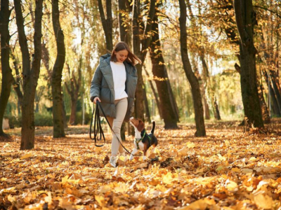 Quelles sont les précautions à prendre avec son chien en automne ?