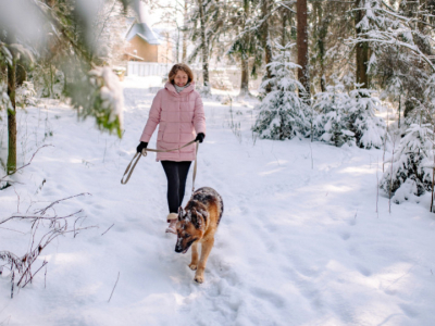 Comment éviter la dépression hivernale chez mon animal ?