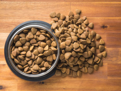 Savez-vous vraiment lire les étiquettes des paquets de croquettes ?