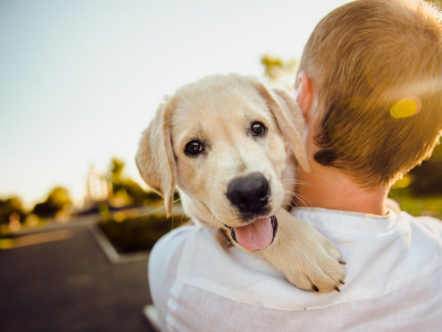 Comment choisir le nom de son chiot en 2022 ? 