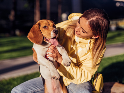 Voici les 5 erreurs à ne pas commettre avec votre chien